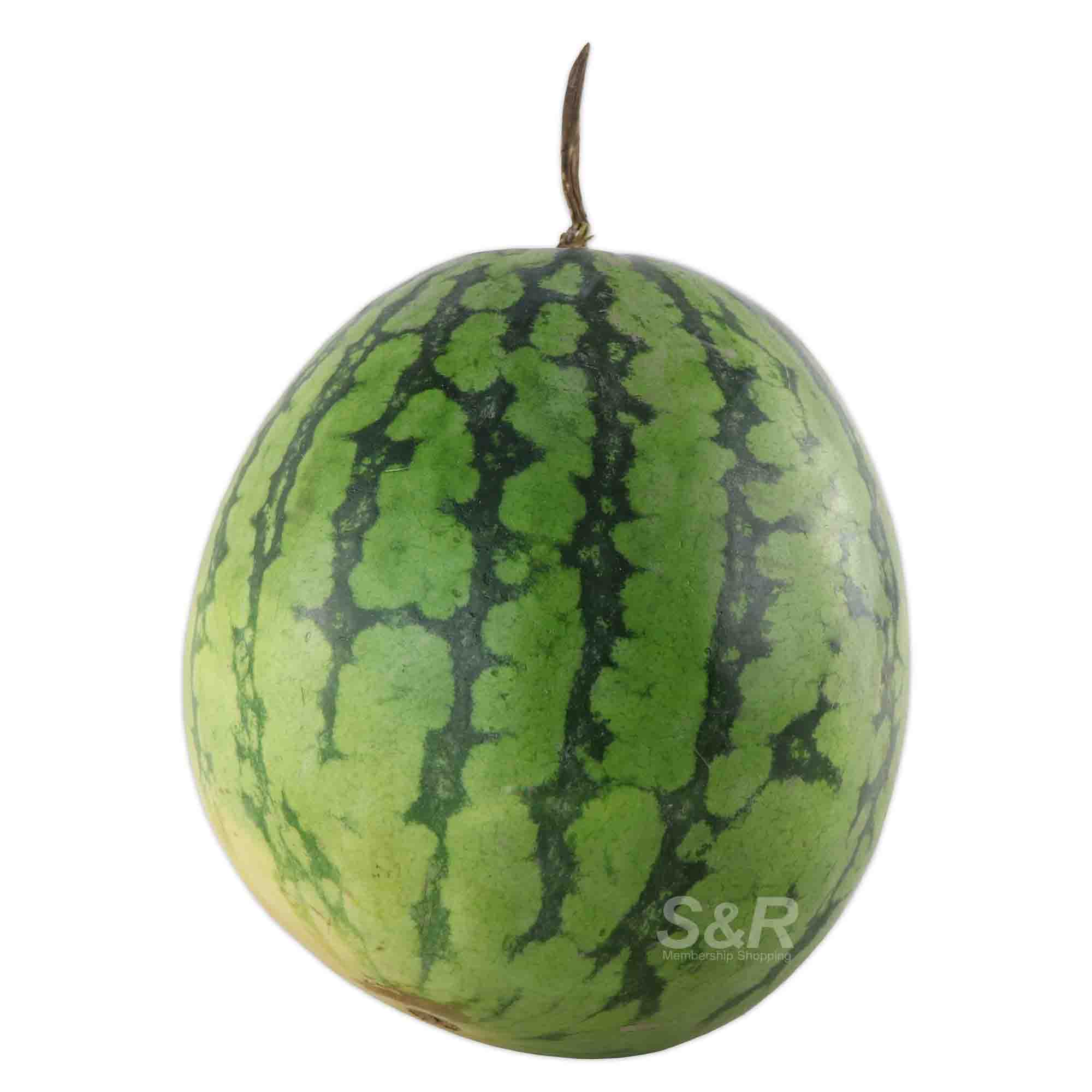 S&R Champion Watermelon approx. 6kg